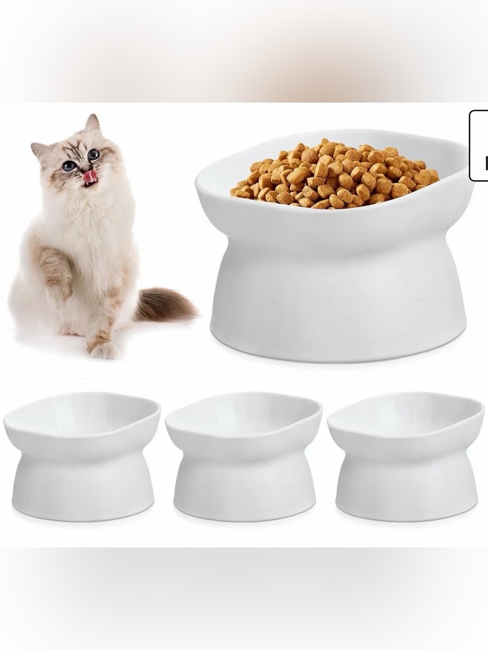 Cat Food and Water Bowls Tilted Elevated Raised Plastic Feeding Dishes Set of 4